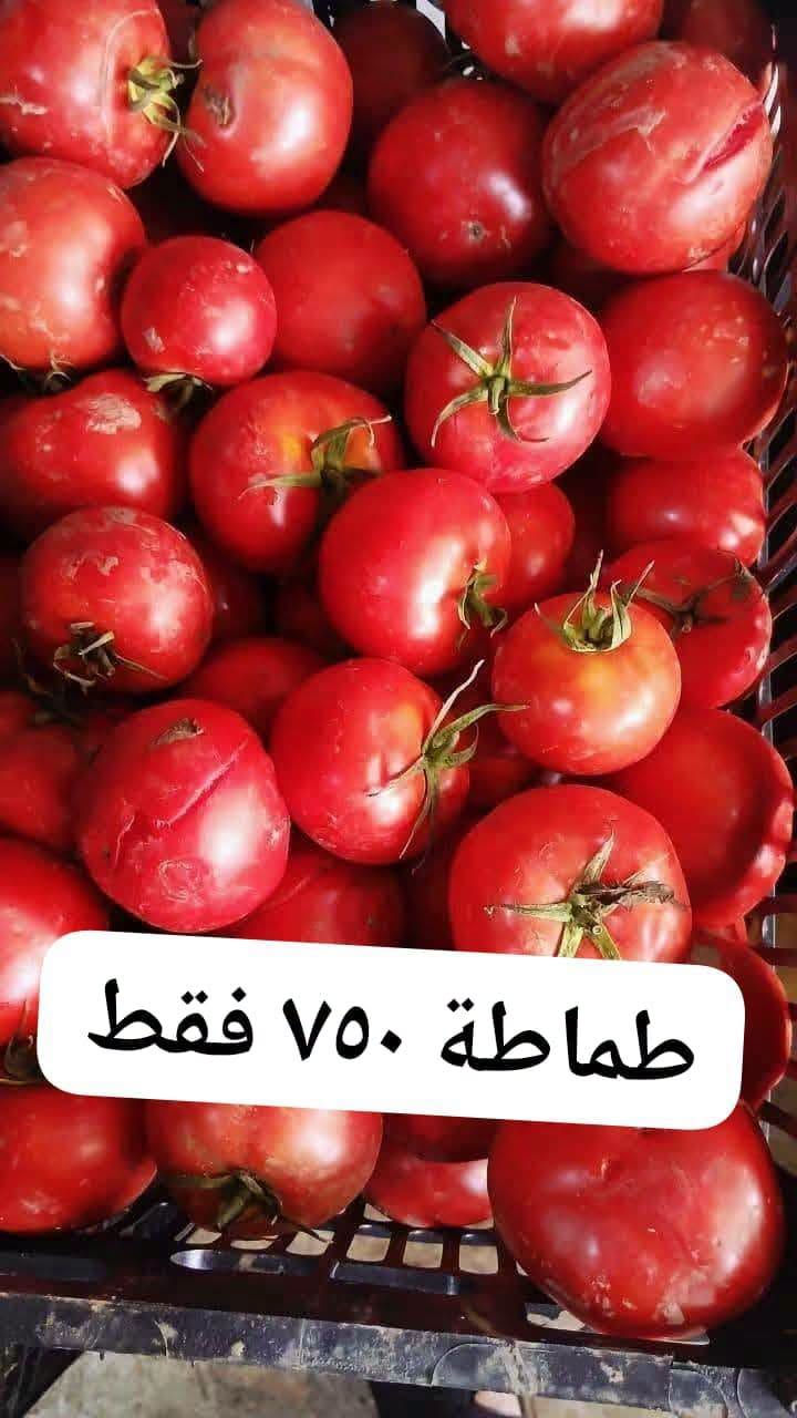 فواكه وخضروات • توصيل يومي • خانقين امام عباس