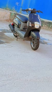 بوليسي • بخاخ • مكفوله
