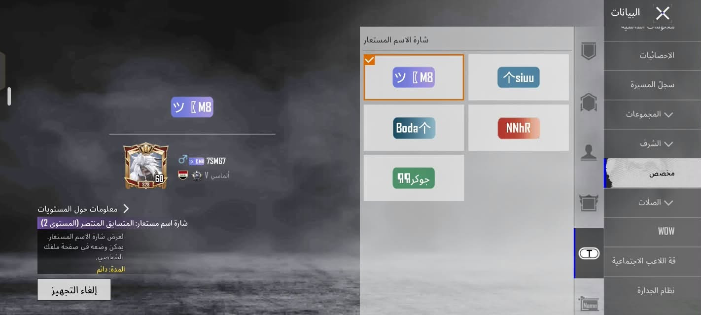 حساب ببجي • مستوى ٦٠ • مجموعات ٤٠