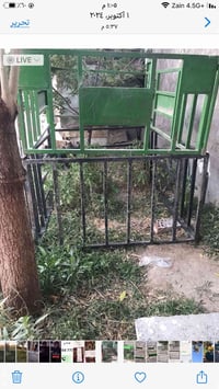 زوج محجر • بابل • المسيب