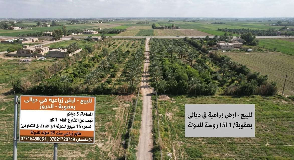 بعقوبة الدروز • ٥ دونم • طابو زراعي