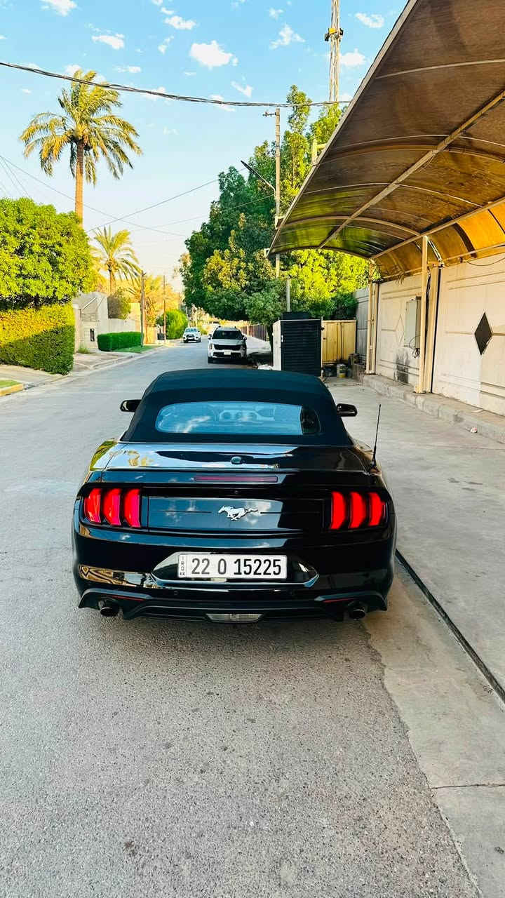 السلام عليكم
-فورد موستنگ  Ford Mustang  ✅
-موديل  2023  كشف قماش ✅
-محرك 2300 توربو Ecopost ✅
-رقم اربيل الدولي تحويل او وكالة ثاني يوم ✅
-حادث بنيد فقط فقط بدون دواخل وايرباك ✅
-ماشية 65.000 حقيقي  ✅
-سيارة جديدة بمعنى الكلمة ✅
مواصفات السيارة :
-كشف
-محرك 4 انظمة قيادة 
(نورمال - سبورت - تراك - ثلجي/رطب )
-الگير  10 سرعات (نمر)
-الاستيرن تدفئة تبريد + 3 انظمة قيادة 
( سبورت - نورمال - كومفرت )
-كشنات جلد كهرباء + تدفئة تبريد
-مانع انزلاق 
وباقي المواصفات تجون وتشوفوها السيارة نظيفة ومكفولة كفالة عامه 
السعر 175 وبيها مجال بسيط
العنوان بغداد البلديات 
للاستفسار ***********
صور الحادث بالمنشور
