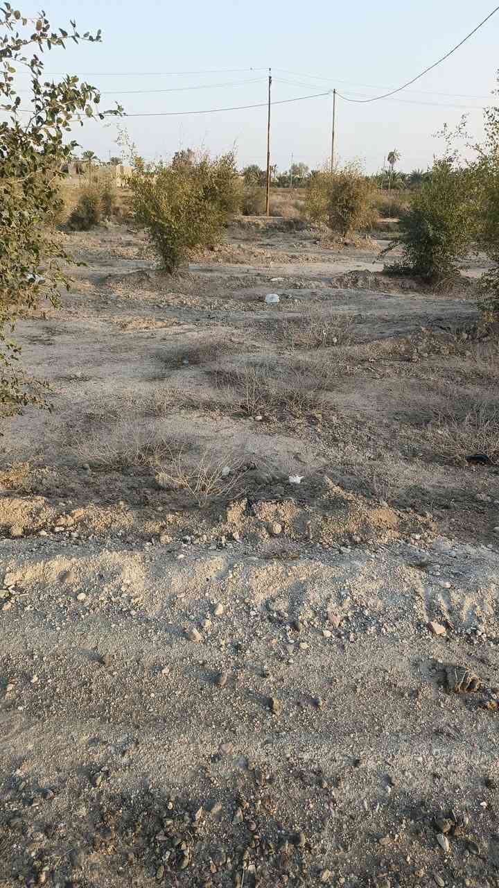 الجزيره باب الهوا الربعه • ١٢٣م • سند ٢٣