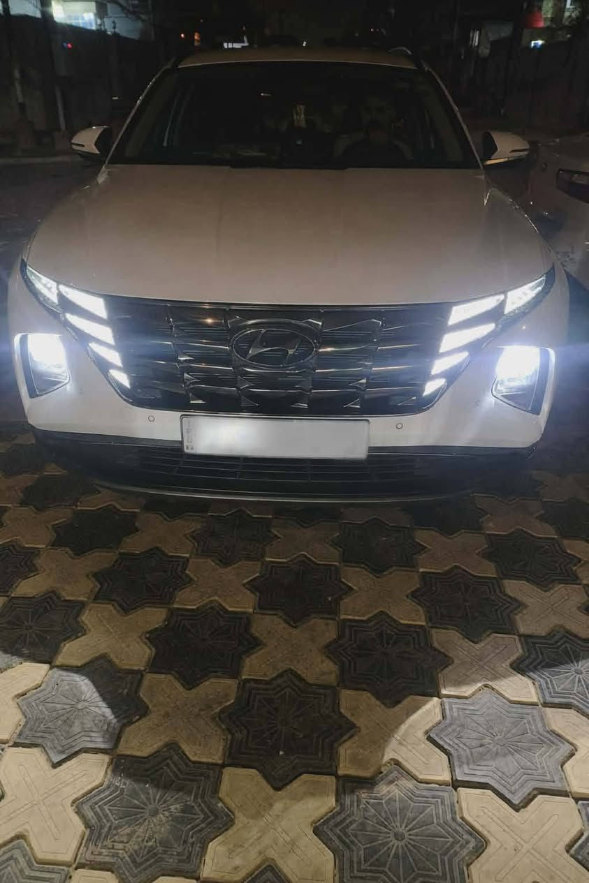 فول مواصفات • ٢٠٢٠ • رقم اربيل