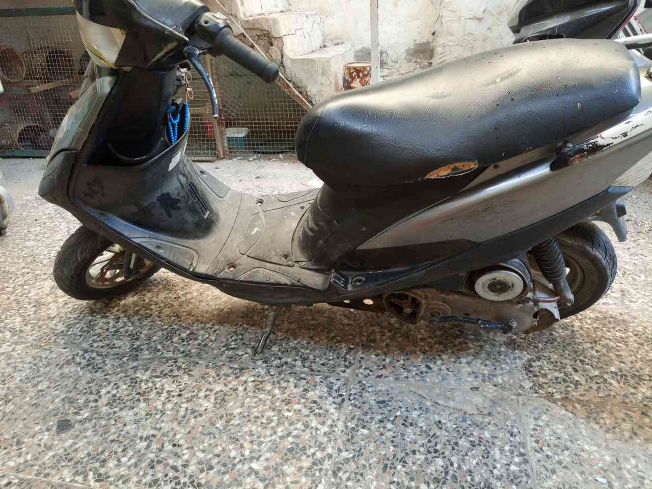 ماكس عدلة • اوراق • بوشه ٥٥