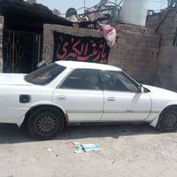 مارك الصيف • ضربه • بصره القمله
