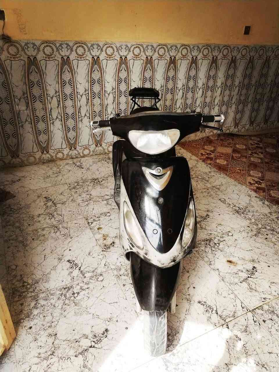 ماكس منغولي • ٥٠ • ٦ أشهر
