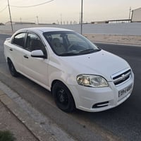 افيو • ٢٠١٠ • كربلاء