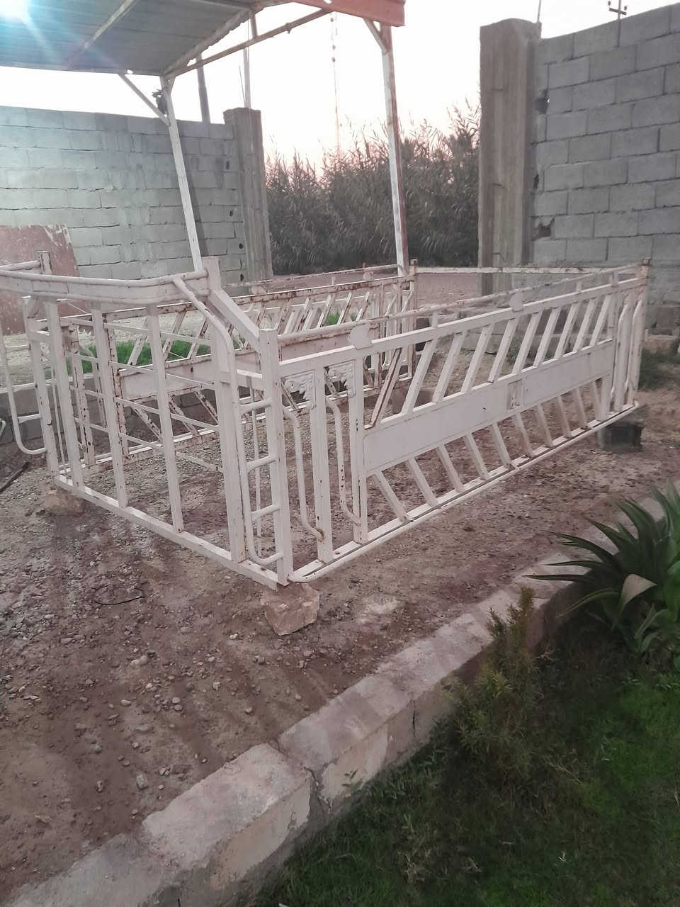 السلام عليكم 

  محجل  كيا  نثية  للبيع 
الانبار الخالدية جزيرة البوبالي 

للإستفسار  (***********)
