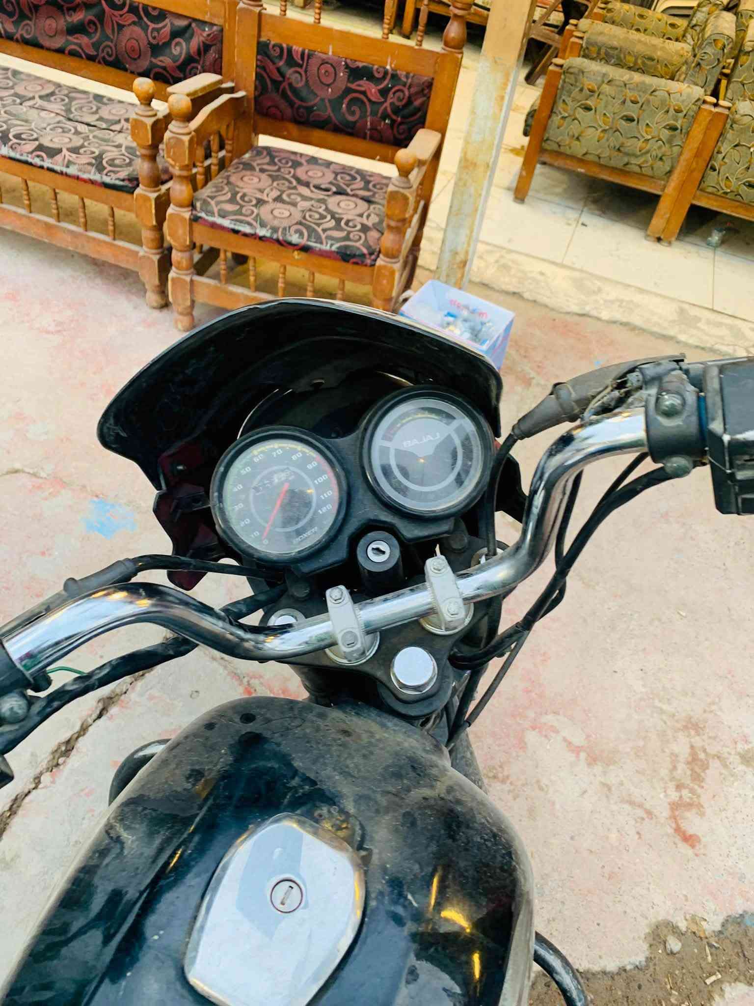 بوكسر • چواكيچ • ٢٠١٩