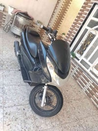 بي سي اكس • ٢٠١٧ • مكفولة