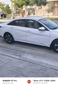 لنترا ٢٠٢١ • نص فول • رقم اربيل