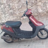بوتین • فحل • نضيف