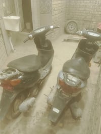 عصفورية • ٦٠ • اصليه