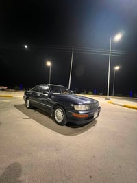 بطه • ١٩٩١ • رقم ديالى