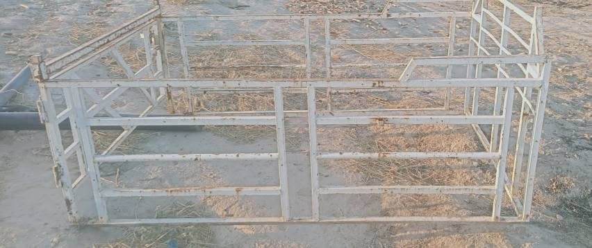 للبيع محجل هيفا ‏‪***********‬‏
