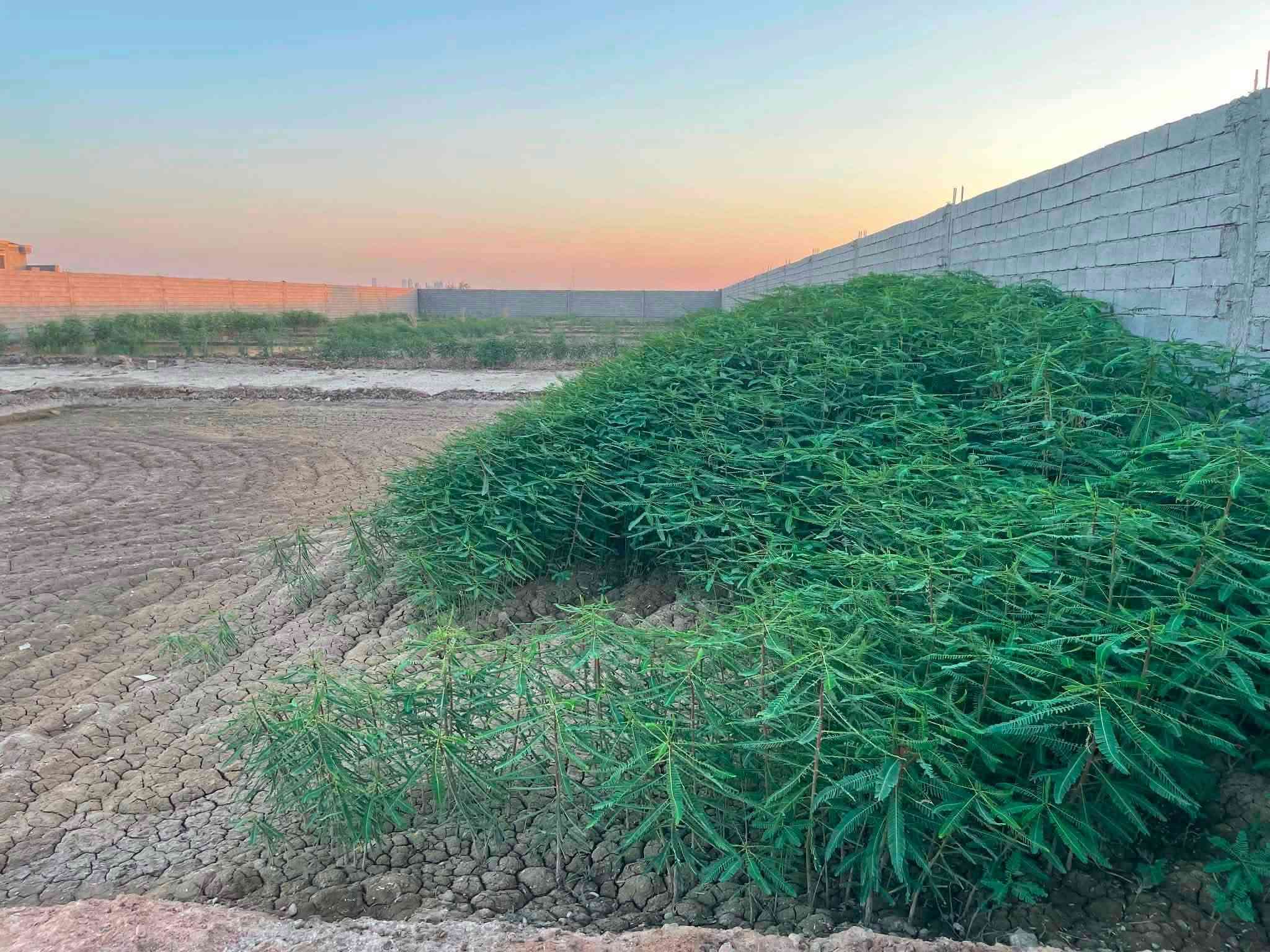 مزرعة قيد الأنشاء للبيع في منطقة الشهابي خلف مستوصف طبي الشهابي المساحة دونمين
تحتوي على بيت هيكل متكون من غرفتين وحمامات وصالة ومطبخ وجلسة معزولة وحمامات خارجية وتحتوي على باربيكيو للشوي كهرباء واصل وماء اساله وتحتوي على بير للسقي
للأستفسار التواصل عبر الرقم ***********
