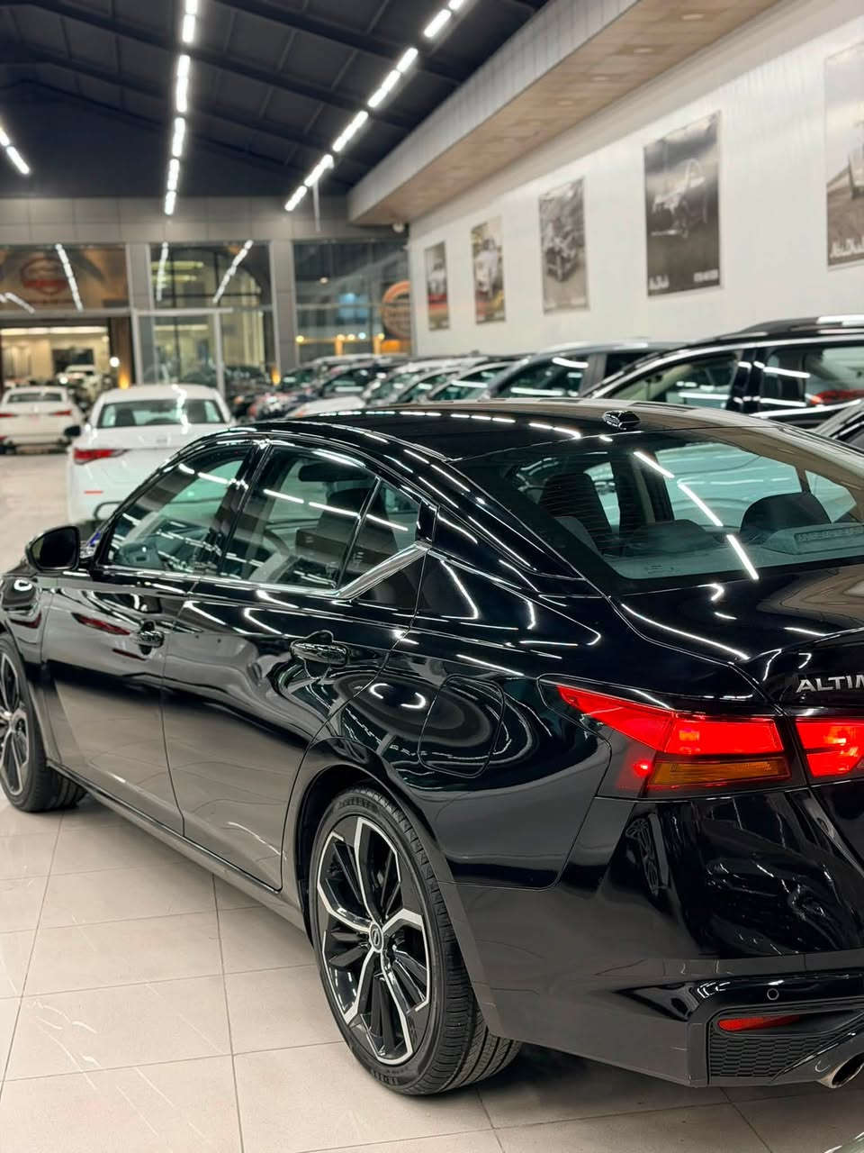 التيما SR • ٢٠٢٤ • بدون صبغ
