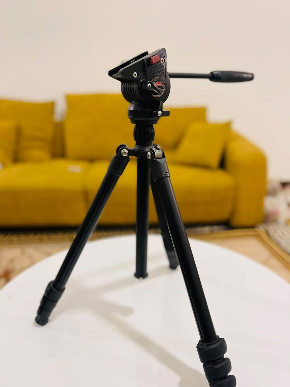 نيكون D7100 عدستها 18-140 الأصلية
عدسة صغيره 18-55  DX VR  NIKKOR
مايك جو عام احترافي جدا 
بيبي لايت مستمر اضاءة قوية 
فلاش GODOX باتري 
مايك 
كفر جيلاتين اصفر 
امبرله شحن من VISICCO2 فلاش و اضاءة مستمرة
ترايبود ثلاثي هايدروليك 

***********
