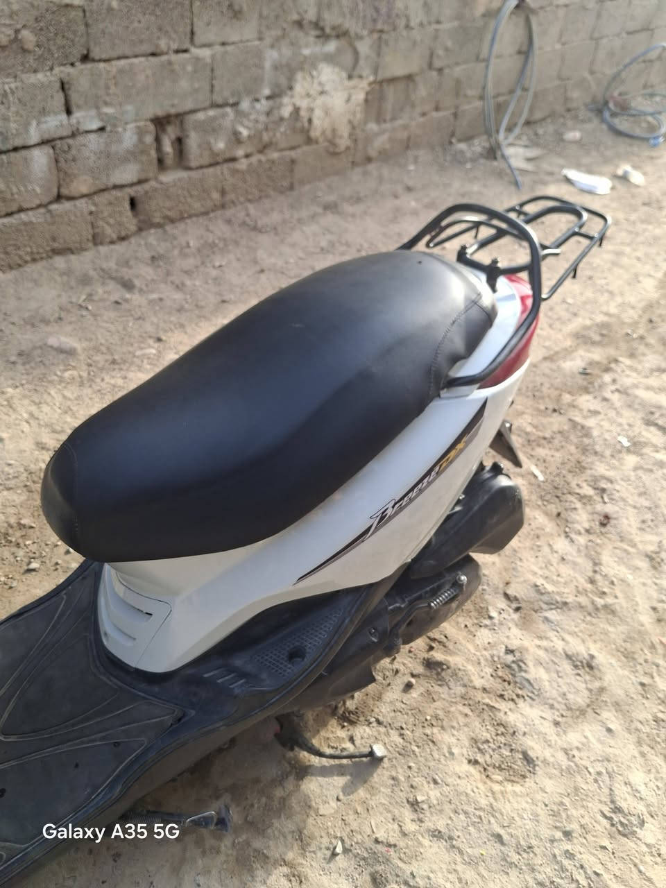 ببغاء • كفاله عامه • بغداد