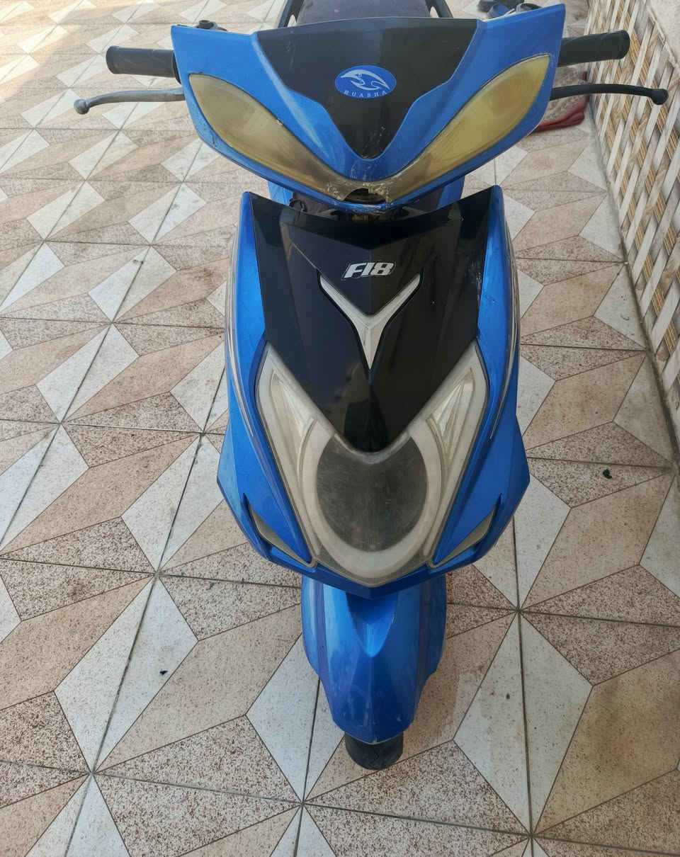 سگنس • شغاله • سلف