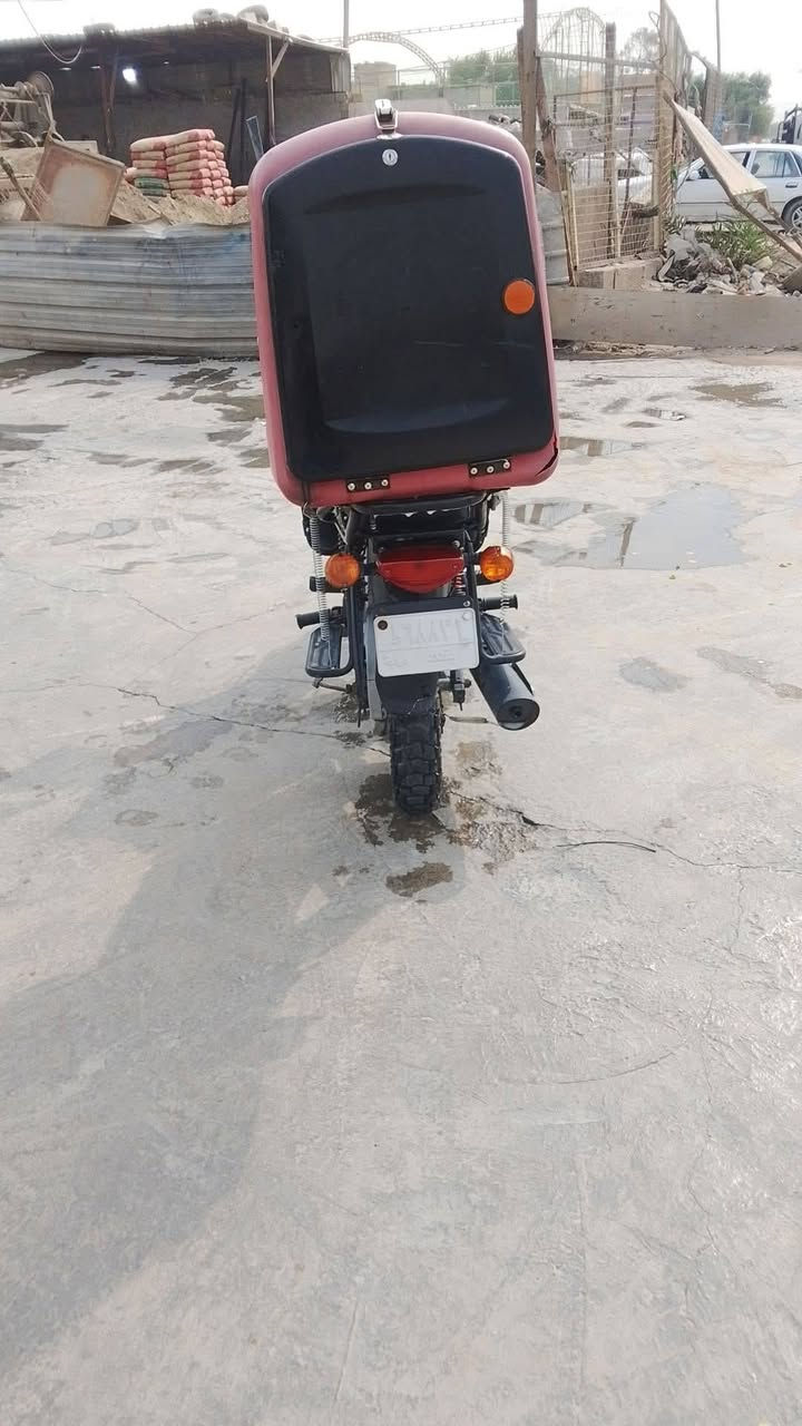 بوكسر • جبلي • ٢٠٢٢