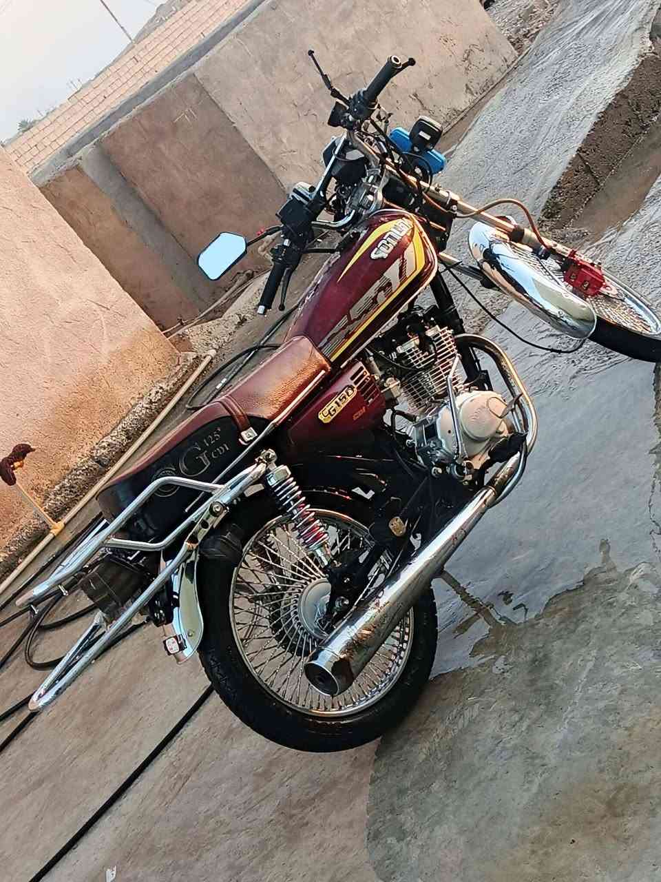 تايگر • ٢٠٢٤ • ما مفتوح