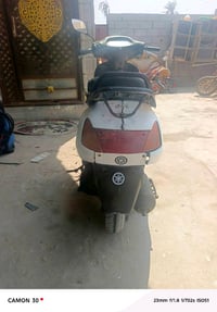 بطه • كهربايات • سلف دكمه