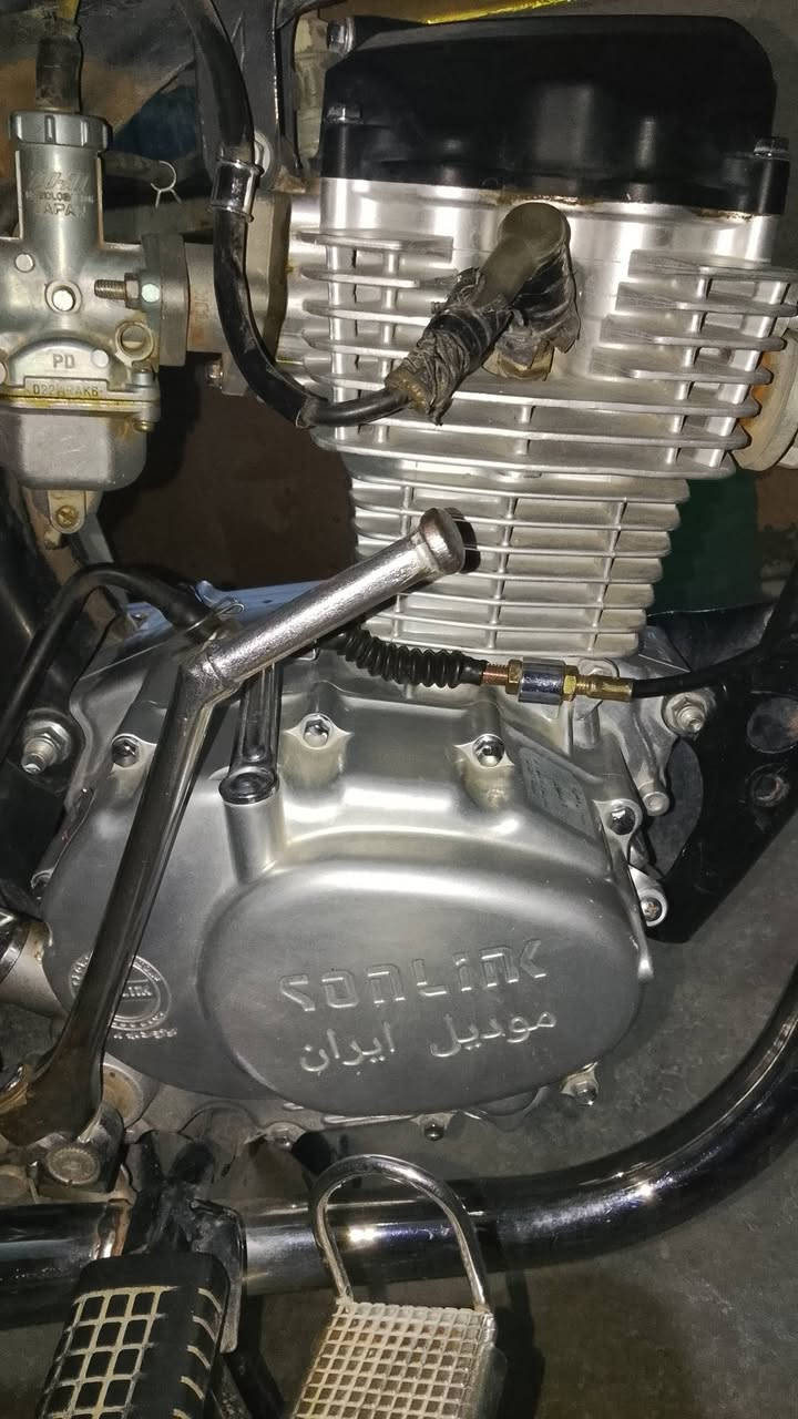 تايكر • ٢٠٢٣ • مكفولة