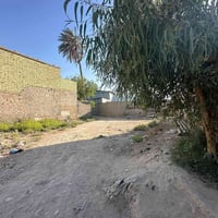طابو زراعي • ١٨٠م • نهاية نادر