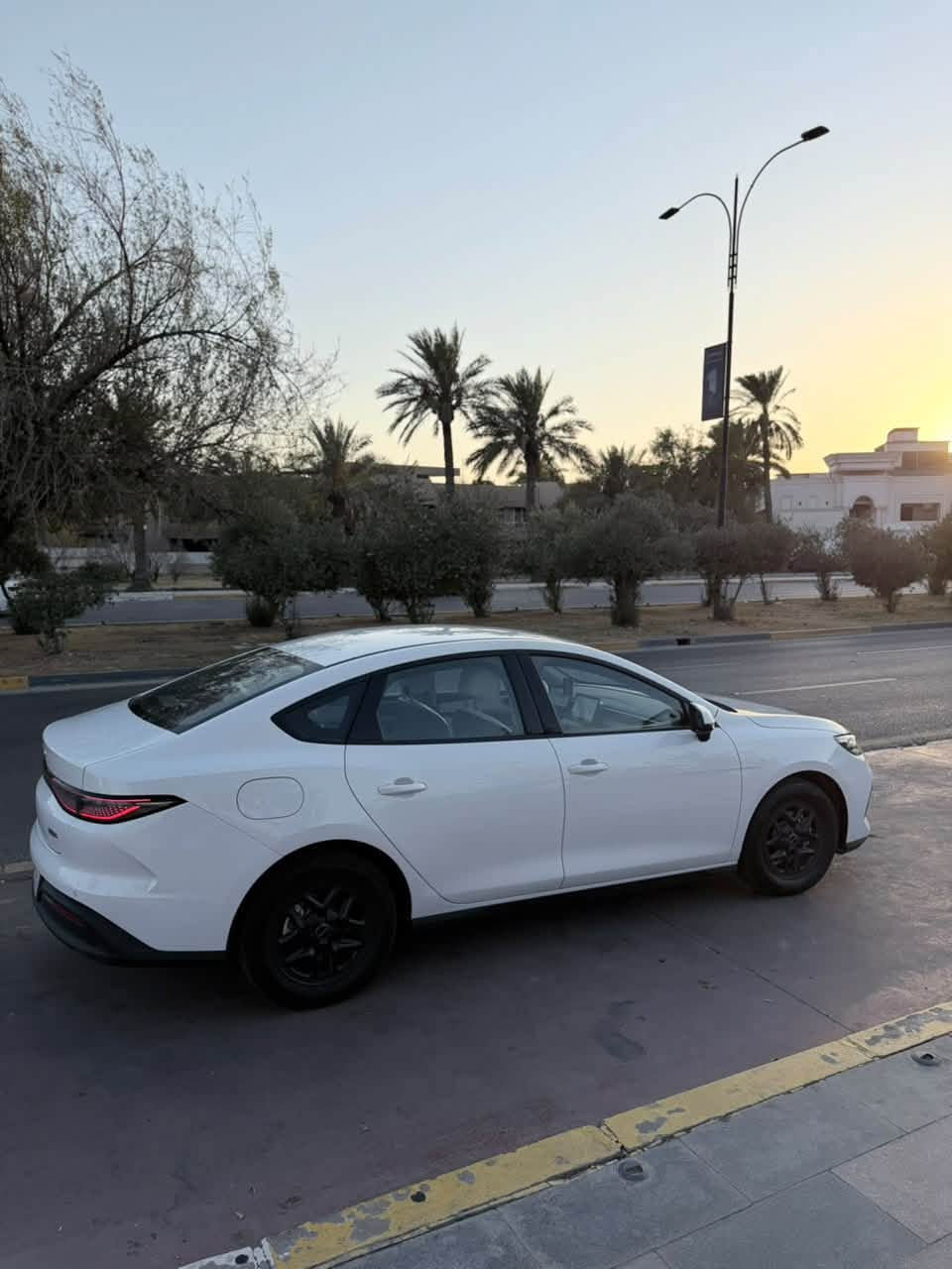 سيل 5 • ٢٠٢٥ • الممشى ٩٠٠٠
