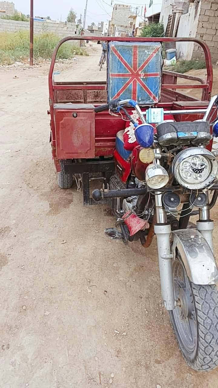 ستوته • ٢٠١٦ • شاصي مكفول