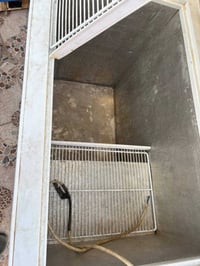 عارضتين • مجمدة • النجف