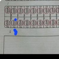بصف الركن • ٢٥٠م • خدمات كاملة