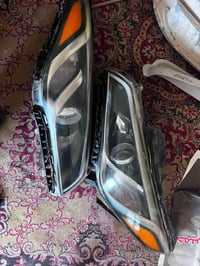 زوج للبيع ب125 الف مكاني حله 07716766690