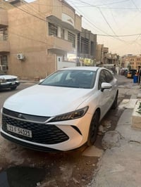 چن بلس • مكفولة • ١٢ الف