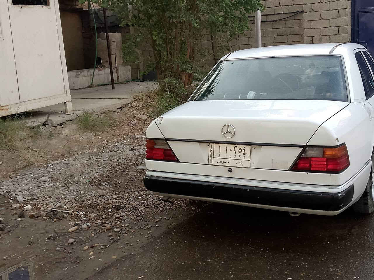 بغداد ***********شعب
