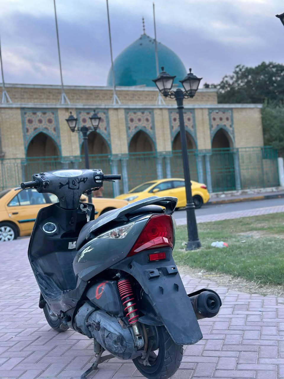 ثعلب • نظيفة • رياضية