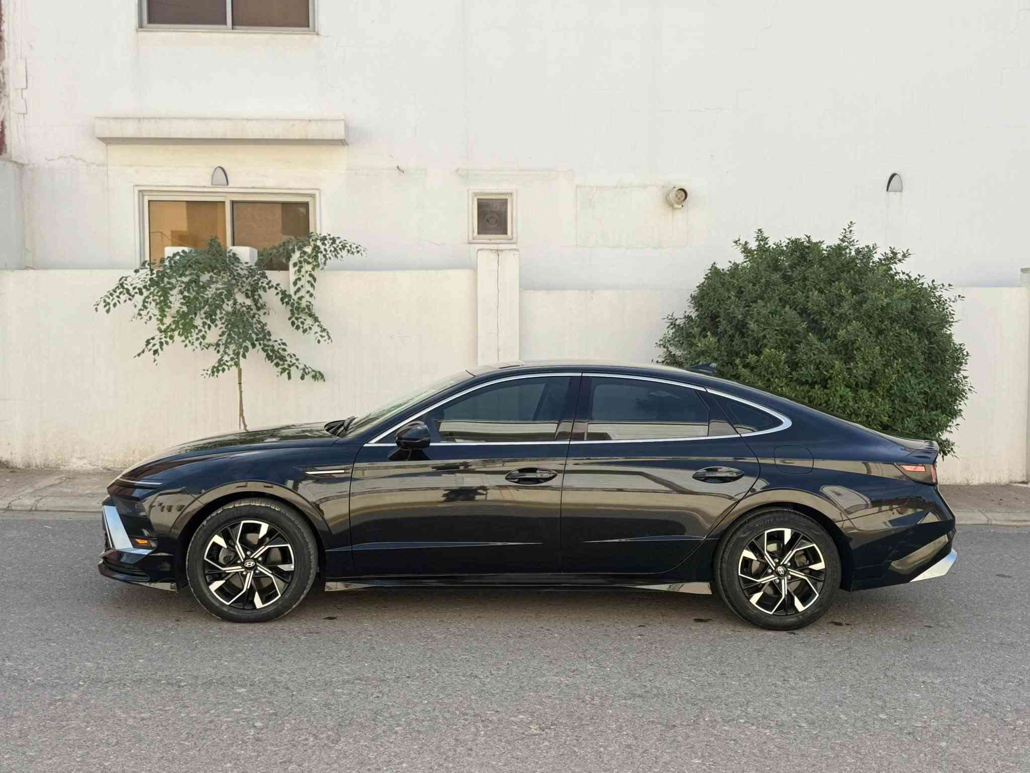 سوناتا SEL • ٢٠٢٤ • بدون رقم شمالي