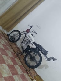 مراوس عادي • ناعمه • للبيع