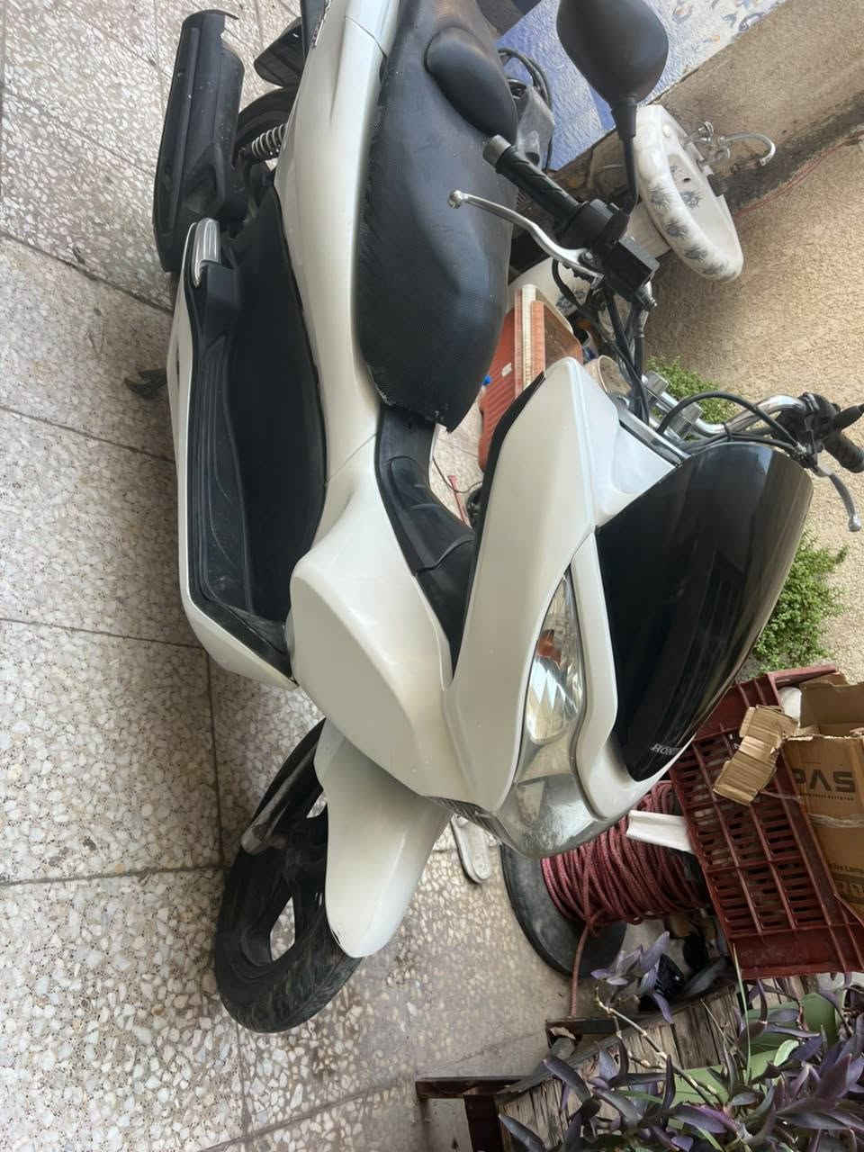 من رخصة الأدمن السلام عليكم عليكم دراجه PCXالجيل الأول ياباني محرك150cc مكفوله كفاله عامه محركها خير من الله كهربائيات كلها شغاله شرط الفحص جيب فيتر وياك وفحص فحص كامل السعر مليون و400 وبيها مجال للشراي العنوان بغداد الشعب حي سومر شارع المدارس للأستفسار اتصل على رقم
*********** واتساب موجود

