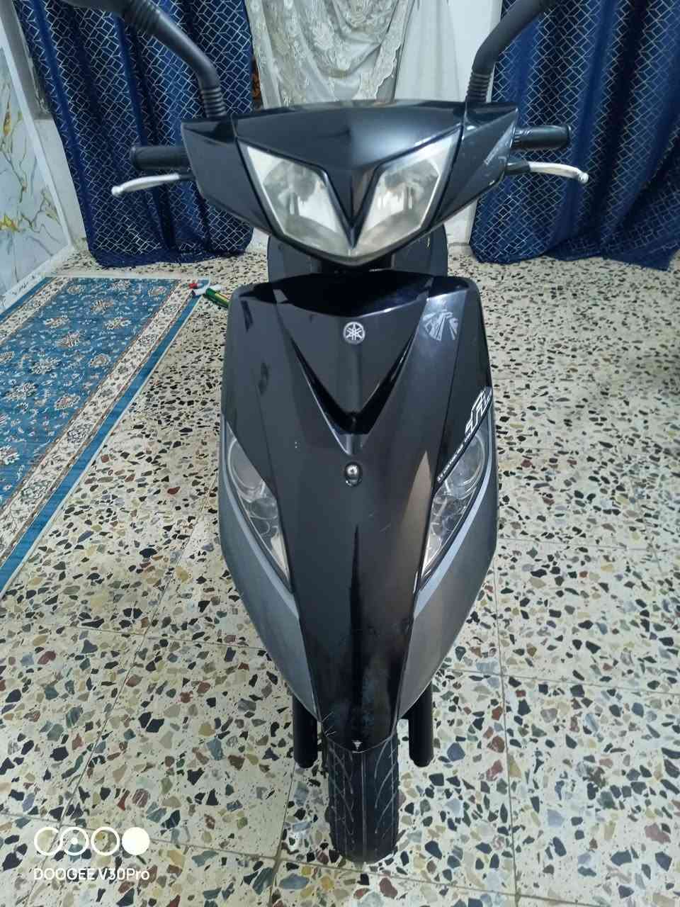 ثعلب • كفالة • ١٧٠٠٠
