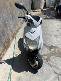 سكنس • ياباني • مكفوله