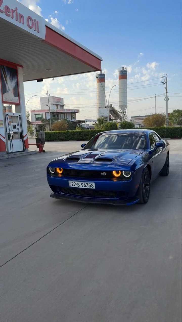 جالنجر GT • ٢٠٢٢ • جلد هيتر