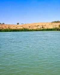 دونم على ذراع نهر دجلة مباشرة بسعر 35 مليون فقط. يتوفر 6 دونم للبيع، م...