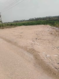 الكوفه الزركه • نهر الفرات • ٢٨٠م