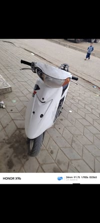 ذبانه عصفور • شغاله • اوراق