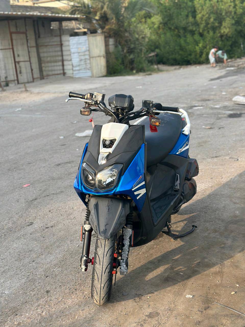 جبلي • حديث • رمبه