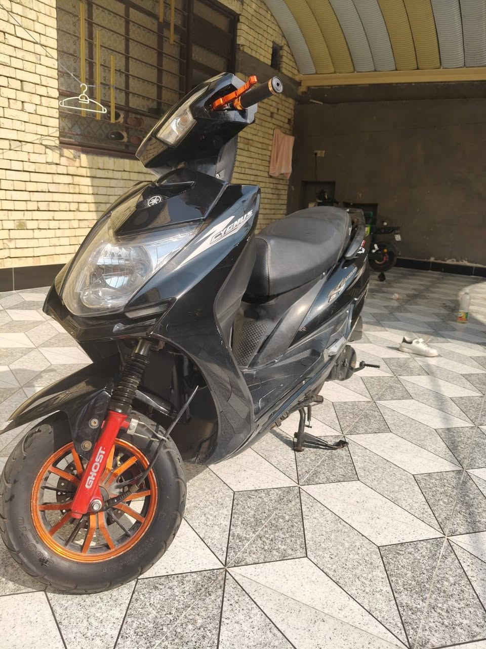 سكنس فحل • صيني • ٢٠٢٥