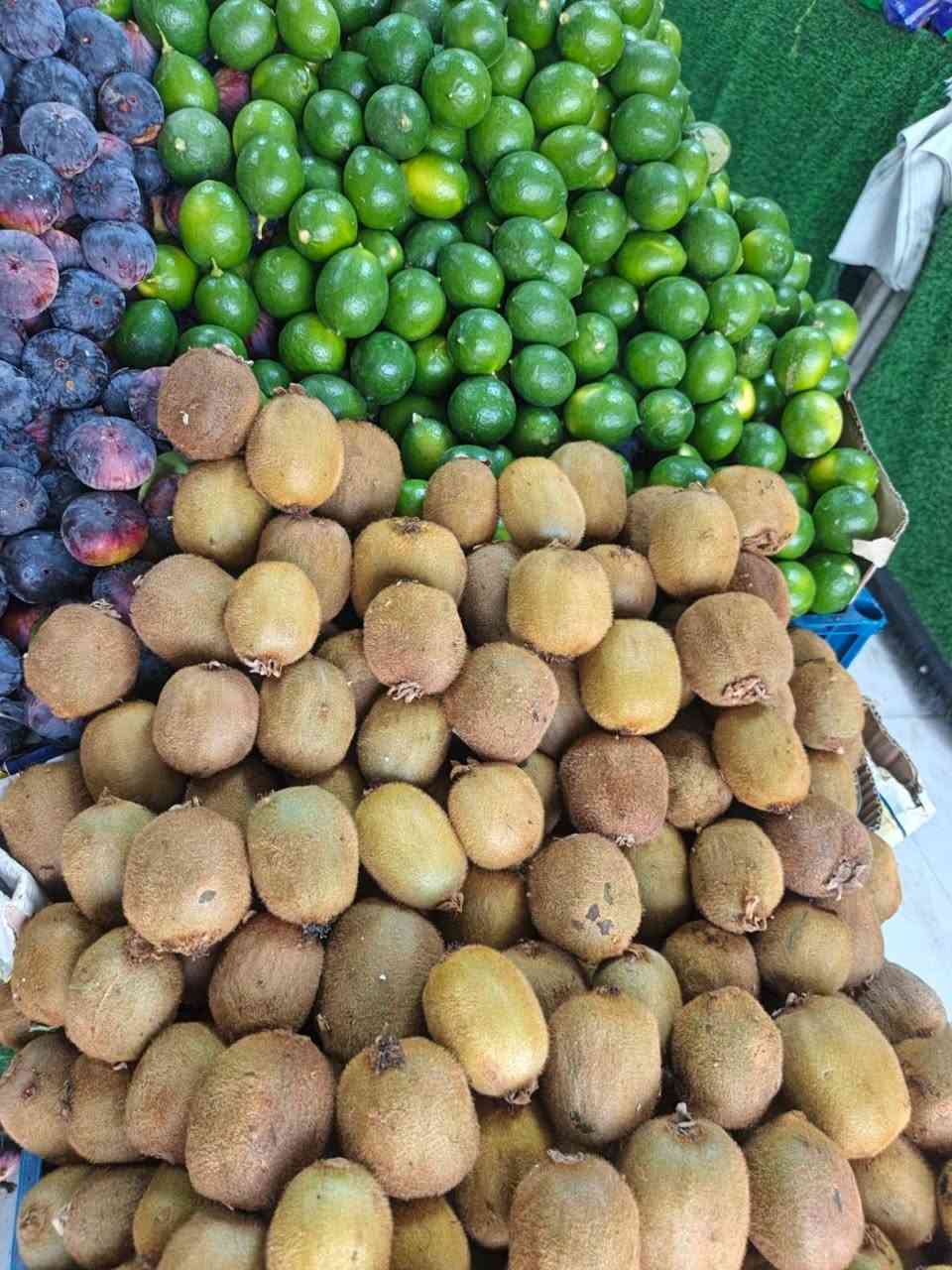 علوه بغداد قرب خان مندي مسوك تازه كله اليوم بيومه توصيل دخل بسمايه حجز *********** حجي عباس
